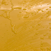 SPRAY SEALANT